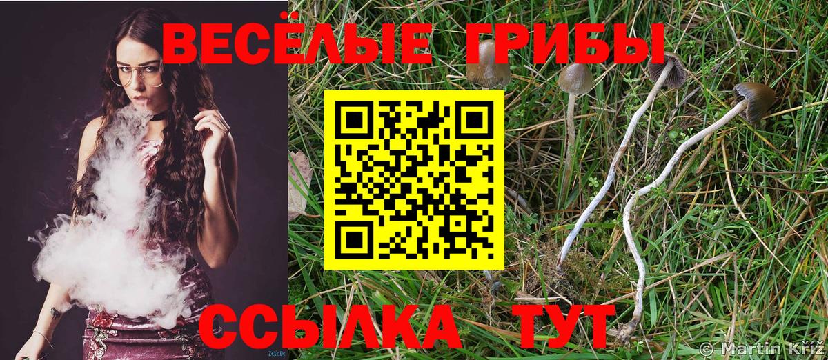 Галлюциногенные грибы мицелий  Вход с VPN  что такое наркотик  Галлюциногенные грибы ЛСД  Махачкала 